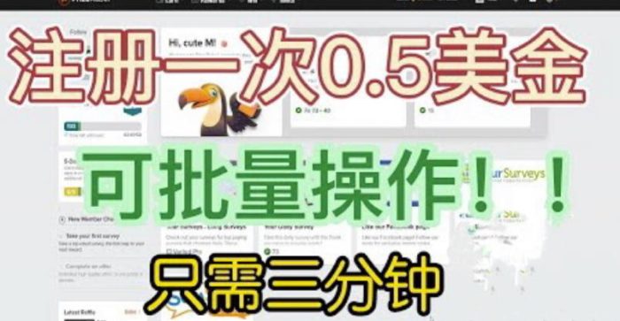 国外项目注册一次0.5美金，只需三分钟无脑操作，可批量同时放大操作，小白工作室福利【揭秘】|小鸡网赚博客