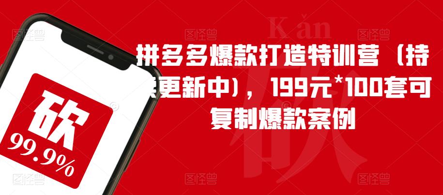 拼多多爆款打造特训营（持续更新中)，199元*100套可复制爆款案例|小鸡网赚博客