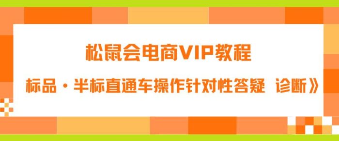 松鼠会电商VIP教程：松鼠《付费推广标品·半标直通车操作针对性答疑&诊断》|小鸡网赚博客