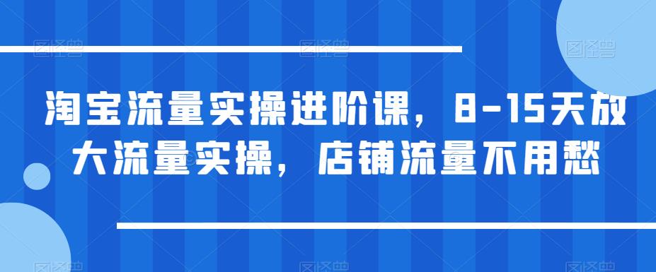 淘宝流量实操进阶课，8-15天放大流量实操，店铺流量不用愁|小鸡网赚博客