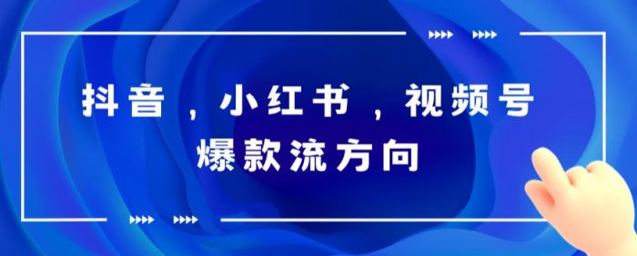 抖音，小红书，视频号爆款流视频制作，简单制作掌握流量密码|小鸡网赚博客