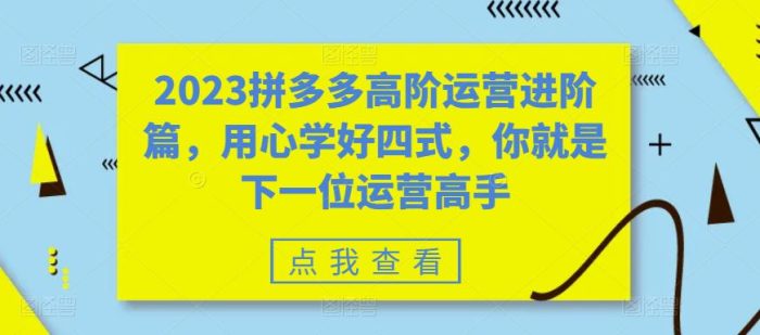 2023拼多多高阶运营进阶篇，用心学好四式，你就是下一位运营高手|小鸡网赚博客
