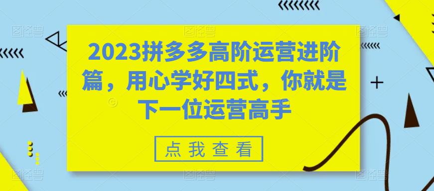 2023拼多多高阶运营进阶篇，用心学好四式，你就是下一位运营高手|小鸡网赚博客