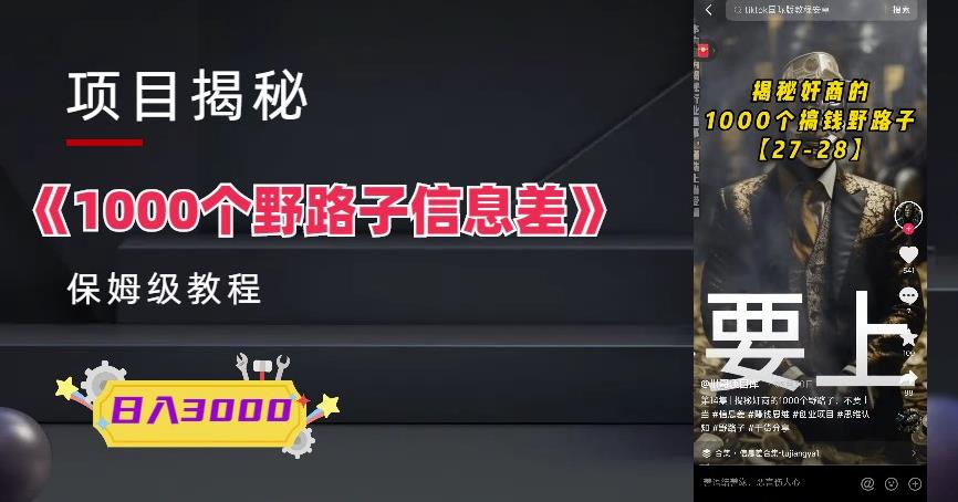 1000个野路子信息差保姆式教程-单日变现3000+的玩法解密|小鸡网赚博客