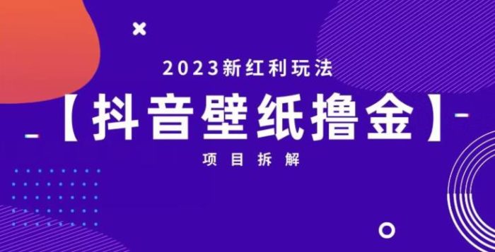 抖音壁纸小程序创作者撸金项目，2023新红利玩法【项目拆解】|小鸡网赚博客