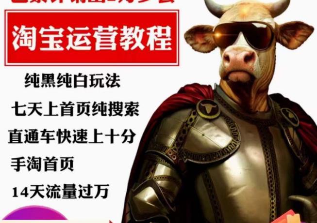 猫老师·淘系算法逆向解密，​纯黑纯白玩法，七天上首页纯搜索，手淘首页14天流量过万|小鸡网赚博客