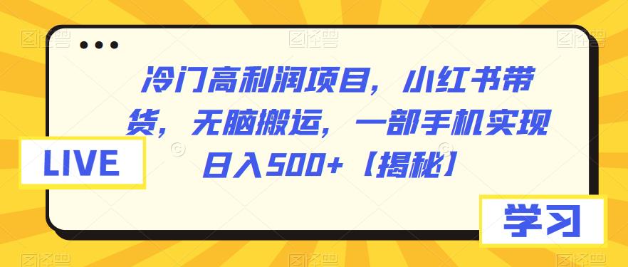 冷门高利润项目，小红书带货，无脑搬运，一部手机实现日入500+【揭秘】|小鸡网赚博客