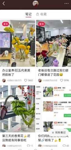 小红书导流快团团卖货实操案例，日引200+精准粉|小鸡网赚博客