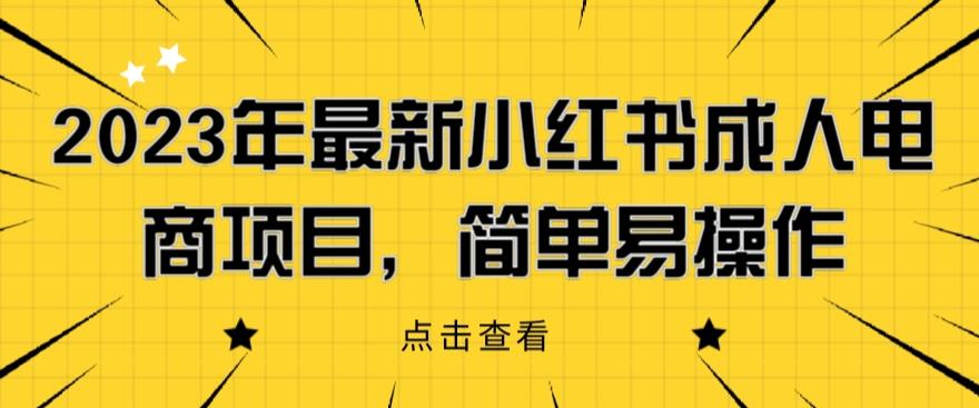 2023年最新小红书成人电商项目，简单易操作【详细教程】【揭秘】|小鸡网赚博客