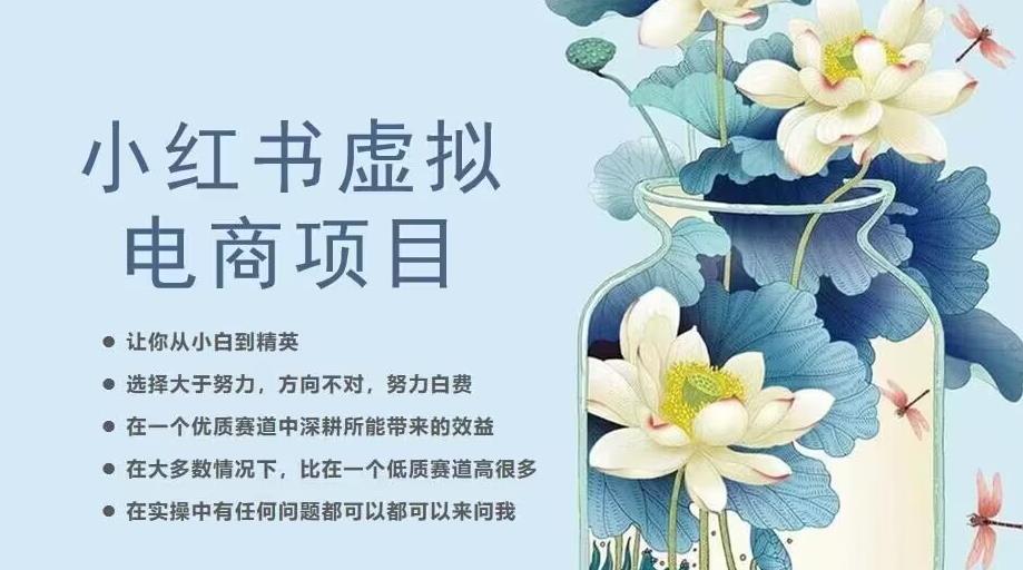 小红书虚拟电商从0到1，让你从小白到精英（20节实操课程）|小鸡网赚博客