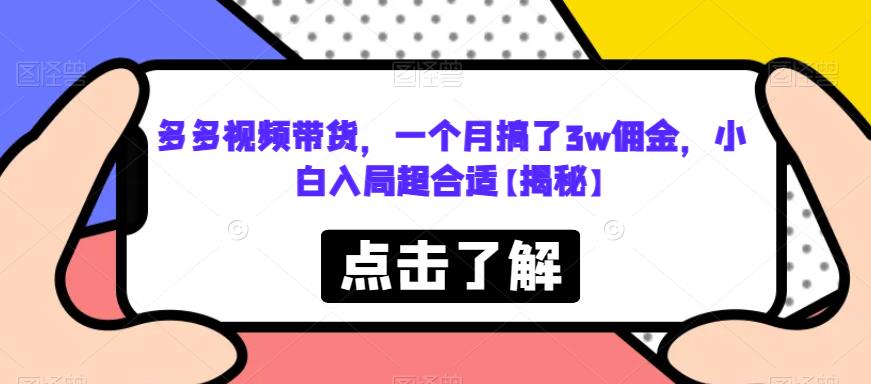 多多视频带货，一个月搞了3w佣金，小白入局超合适【揭秘】|小鸡网赚博客