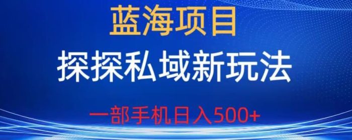 蓝海项目，探探私域新玩法，一部手机日入500+很轻松【揭秘】|小鸡网赚博客