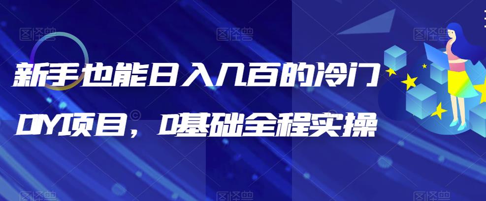 新手也能日入几百的冷门DIY项目，0基础全程实操【揭秘】|小鸡网赚博客