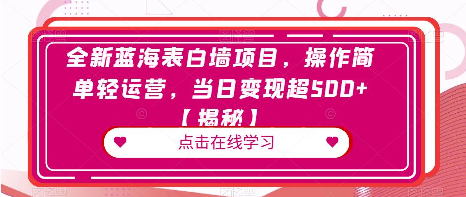 全新蓝海表白墙项目，操作简单轻运营，当日变现超500+【揭秘】|小鸡网赚博客