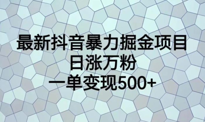 最新抖音暴力掘金项目，日涨万粉，一单变现500+【揭秘】|小鸡网赚博客
