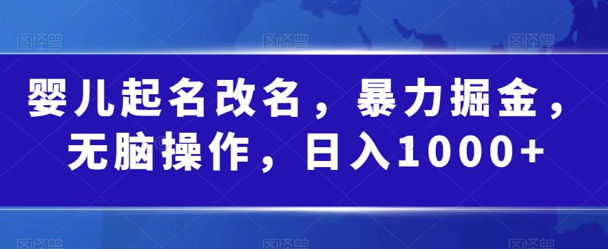 婴儿起名改名，暴力掘金，无脑操作，日入1000+【揭秘】|小鸡网赚博客