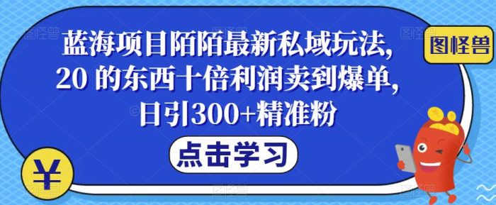 蓝海项目陌陌最新私域玩法，20 的东西十倍利润卖到爆单，日引300+精准粉【揭秘】|小鸡网赚博客
