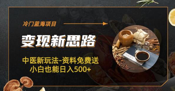冷门蓝海项目-中医新玩法-资料免费送小白也能日入500+【揭秘】|小鸡网赚博客