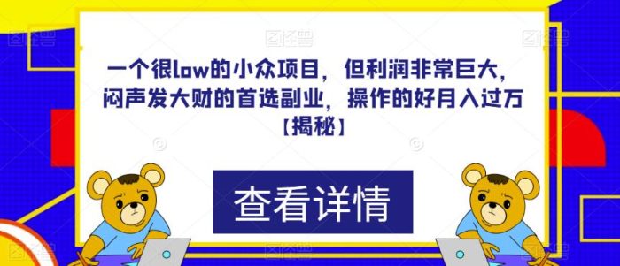 一个很low的小众项目,但利润非常巨大,闷声发大财的首选副业,操作的好月入过万【揭秘】|小鸡网赚博客