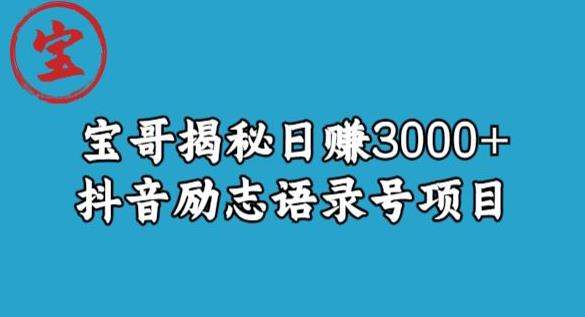 宝哥揭秘日赚3000+抖音励志语录号短视频变现项目|小鸡网赚博客