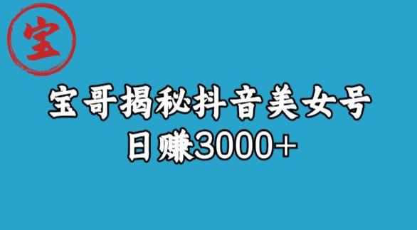 宝哥揭秘抖音美女号玩法，日赚3000+【揭秘】|小鸡网赚博客