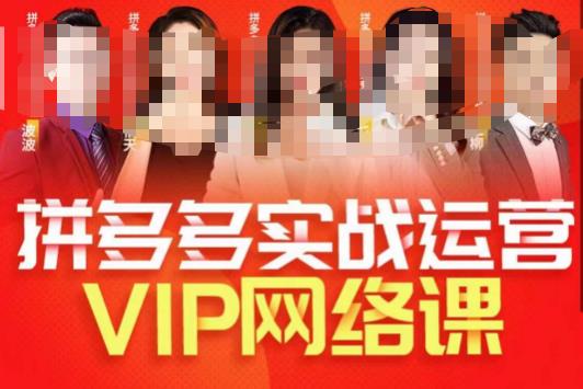 推易拼多多VIP全套直播课程，拼多多店铺实操玩法+实战玩法选款内功+直通车高阶等|小鸡网赚博客
