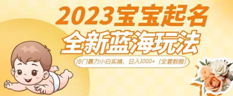 2023宝宝起名全新蓝海玩法，冷门暴力小白实操，日入1000+（全套教程）【揭秘】|小鸡网赚博客