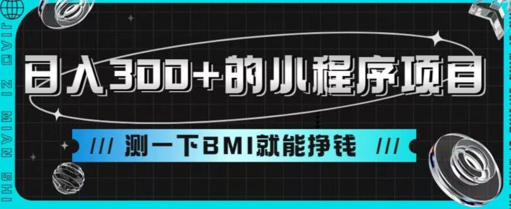 日入300+的小程序项目，测一下BMI就能挣钱【揭秘】|小鸡网赚博客