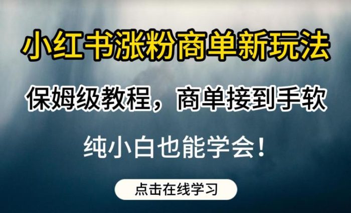 小红书涨粉商单新玩法，保姆级教程，商单接到手软，纯小白也能学会【揭秘】|小鸡网赚博客