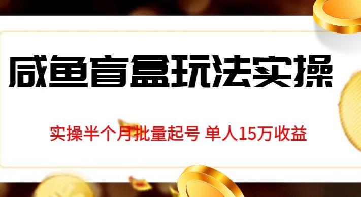 独家首发咸鱼盲盒玩法实操，半个月批量起号单人15万收益【揭秘】|小鸡网赚博客