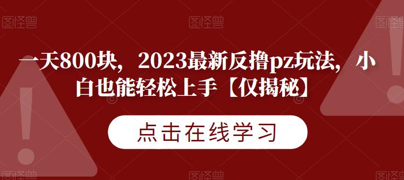 一天800块，2023最新反撸pz玩法，小白也能轻松上手【仅揭秘】|小鸡网赚博客