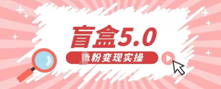 盲盒交友5.0，男粉变现实操项目，亲测变现效果极好【揭秘】|小鸡网赚博客