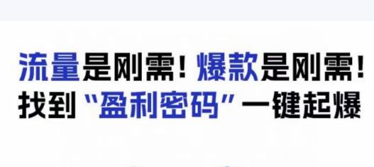 电商盈利精品课：6大盈利密码让产品更好卖，流量是刚需！爆款是刚需！找到”盈利密码”一键起爆|小鸡网赚博客