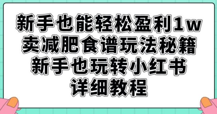 新手也能轻松盈利1w，卖减肥食谱玩法秘籍，新手也玩转小红书详细教程【揭秘】|小鸡网赚博客