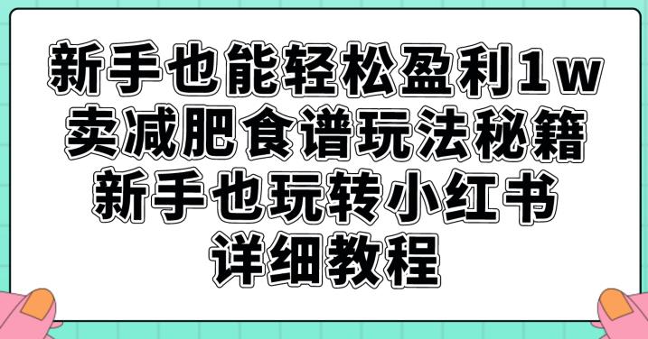 新手也能轻松盈利1w，卖减肥食谱玩法秘籍，新手也玩转小红书详细教程【揭秘】|小鸡网赚博客