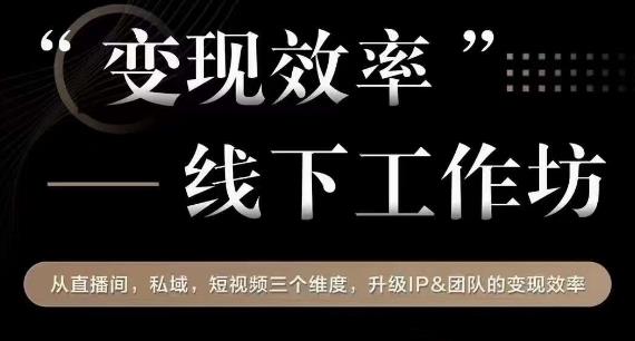 变现效率线下工作坊，从‮播直‬间、私域、‮视短‬频‮个三‬维度，升级IP和团队变现效率|小鸡网赚博客