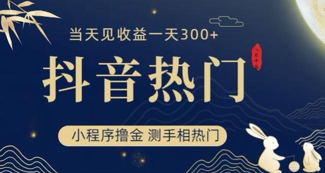 抖音最新小程序撸金，测手相上热门，当天见收益一小时变现300+【揭秘】|小鸡网赚博客