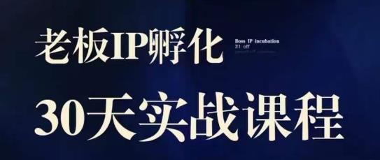诸葛·2023老板IP实战课，实体同城引流获客，IP孵化必听|小鸡网赚博客