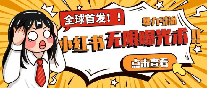 全网首发-小红书无限曝光术pro版全领域粉丝精准拿下|小鸡网赚博客