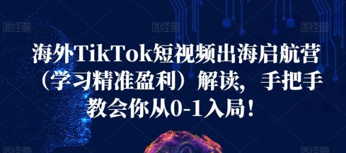 海外TikTok短视频出海启航营（学习精准盈利）解读，手把手教会你从0-1入局！|小鸡网赚博客