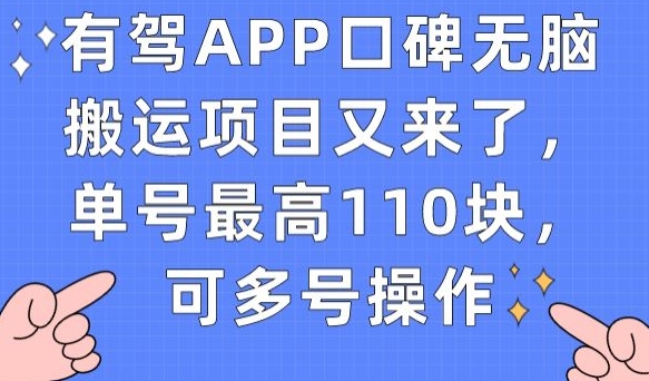 有驾APP口碑无脑搬运项目又来了，单号最高110块，可多号操作|小鸡网赚博客