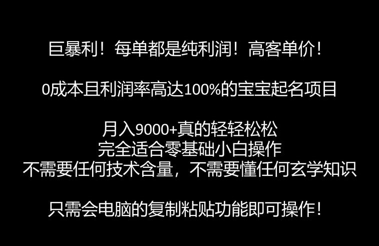巨暴利，月入9000+的宝宝起名项目，每单都是纯利润，零基础都能躺赚【附软件+视频教程】|小鸡网赚博客