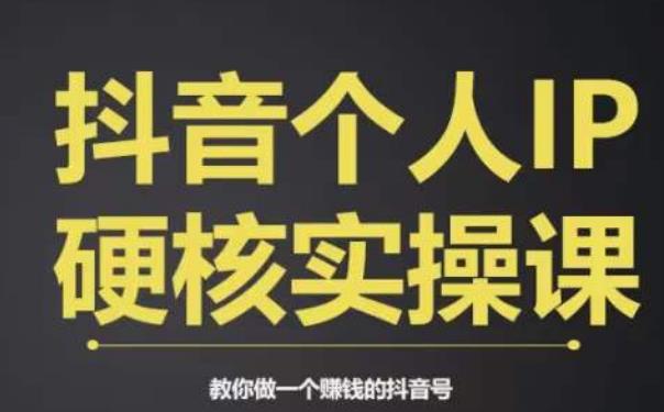 个人IP创富系统实战课，商业定位，流量打造，短视频变现，教你做个赚钱的抖音号|小鸡网赚博客