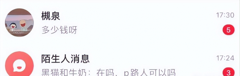 单人日入200+,适合宝妈上班族,小红书小众蓝海项目(附保姆级教程)