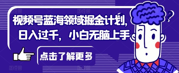视频号蓝海领域掘金计划，日入过千，小白无脑上手【揭秘】|小鸡网赚博客