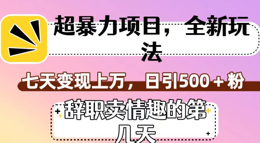 超暴利项目，全新玩法（辞职卖情趣的第几天），七天变现上万，日引500+粉【揭秘】|小鸡网赚博客