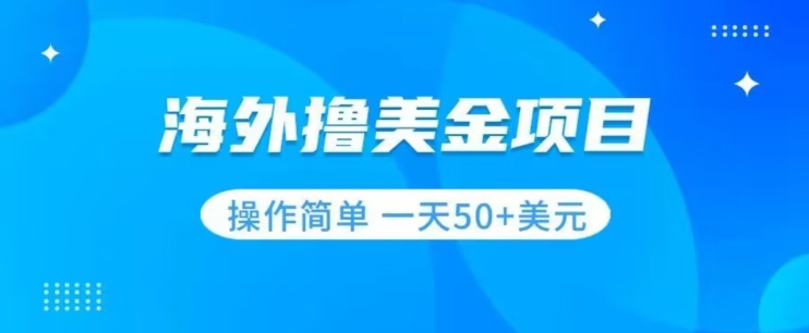 撸美金项目无门槛操作简单小白一天50+美刀|小鸡网赚博客