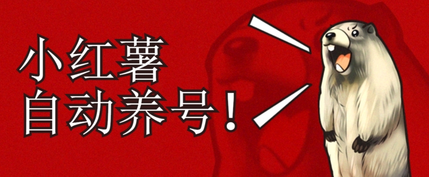 小红书养号秘籍，如何自动涨粉清晰系统标签打造高权重账号【揭秘】|小鸡网赚博客