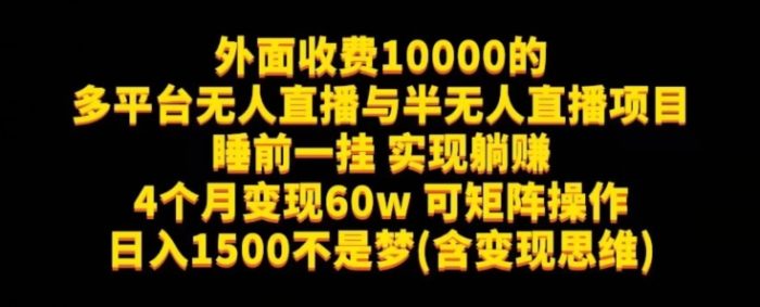 外面收费10000的多平台无人直播与半无人直播项目，睡前一挂实现躺赚，日入1500不是梦(含变现思维)【揭秘】|小鸡网赚博客