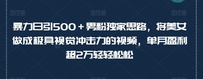 暴力日引500＋男粉独家思路，将美女做成极具视觉冲击力的视频，单月盈利超2万轻轻松松|小鸡网赚博客